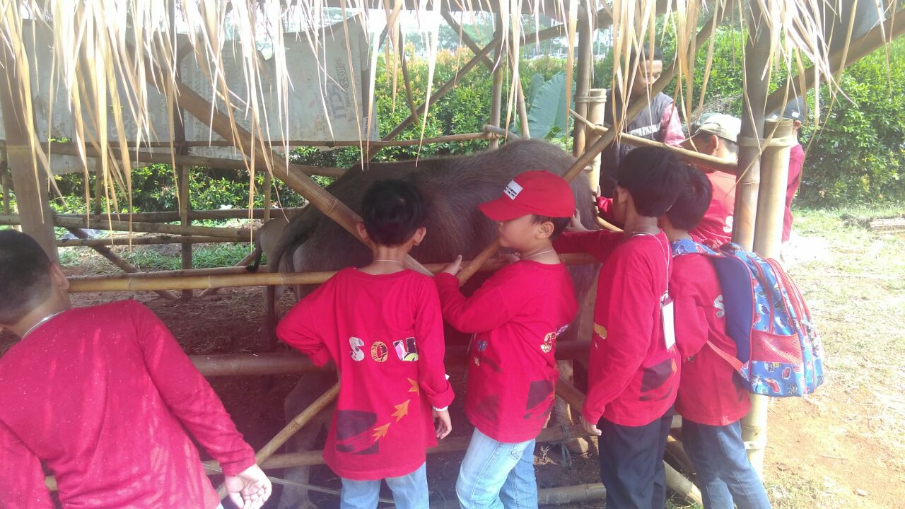 sd2_scientiapark_05 sd2_scientiapark_05