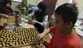 Menelisik Esensi Bisnis di Sekolah Alam SMA School of Universe : Matangkan Wawasan Siswa dengan Pengalaman