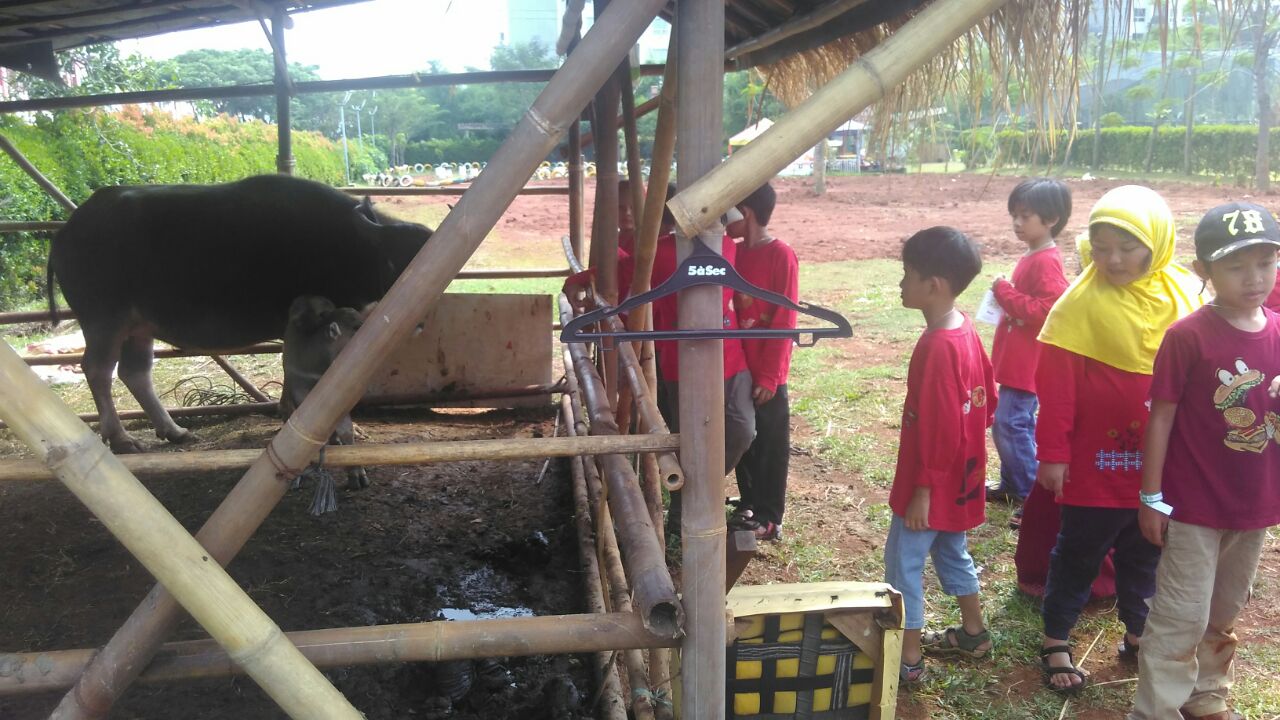 sd2_scientiapark_06 sd2_scientiapark_06