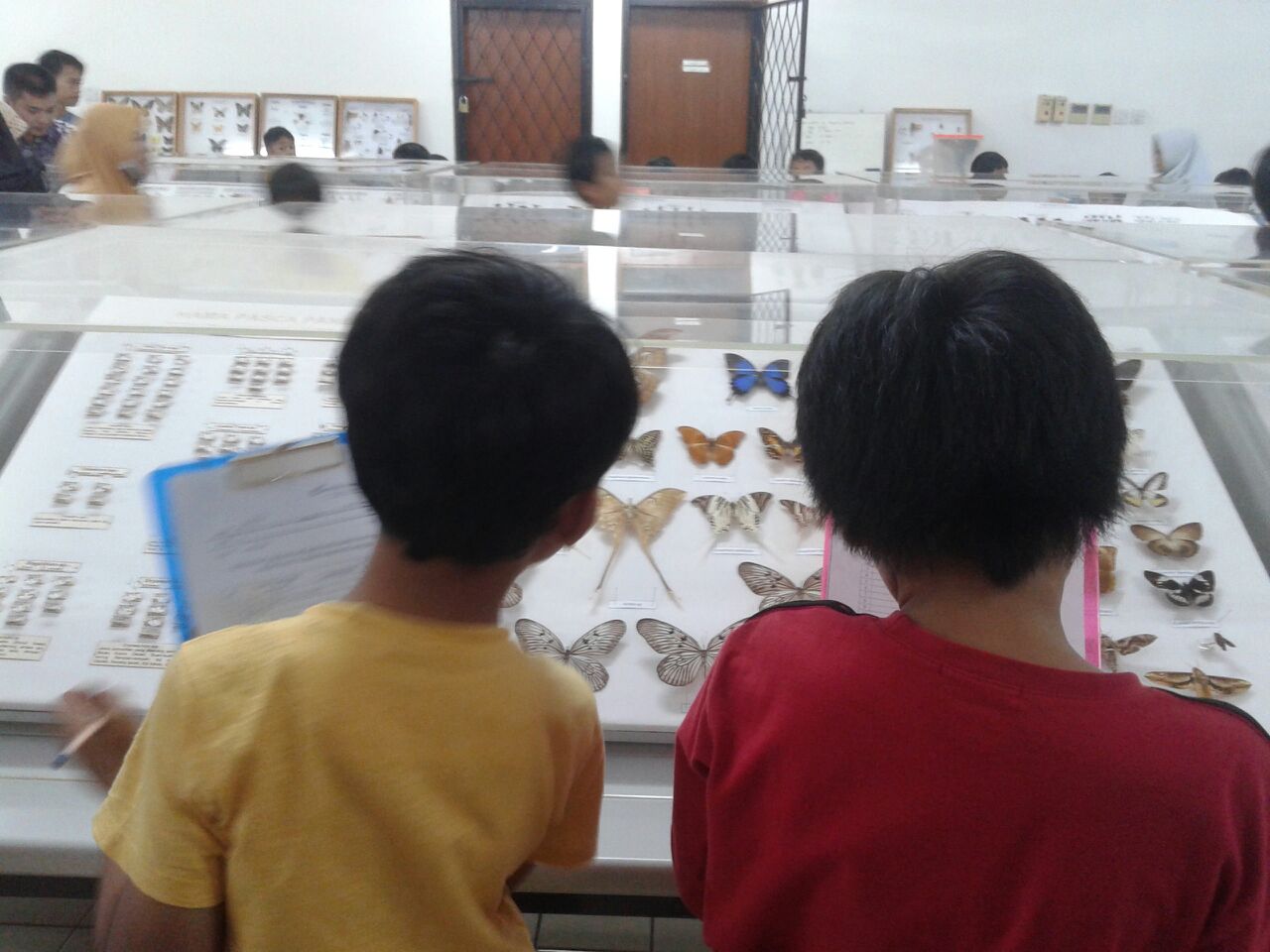 sd3_trip_serangga_ipb06 sd3_trip_serangga_ipb06