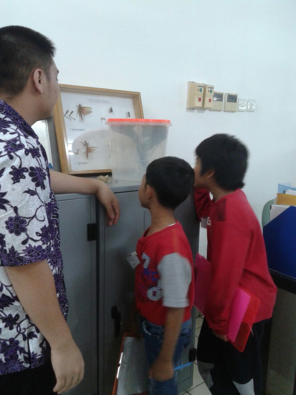 sd3_trip_serangga_ipb07 sd3_trip_serangga_ipb07