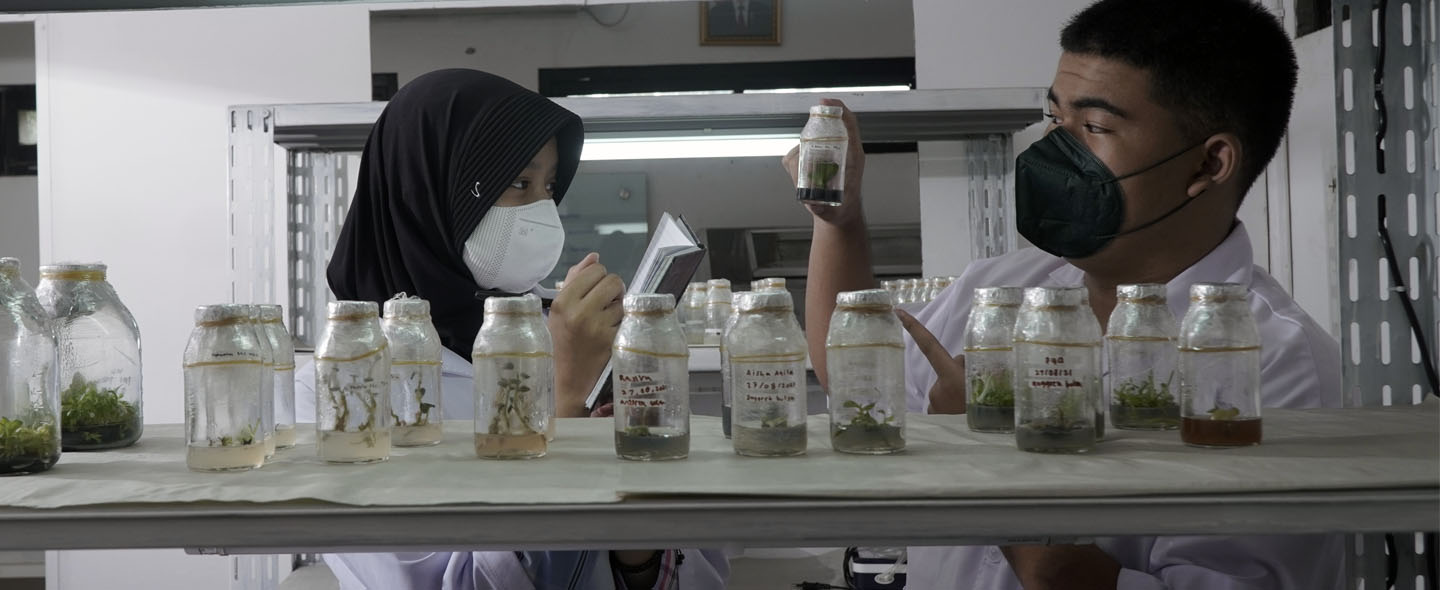 Pengembangan Logika